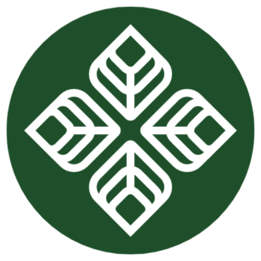 How is starch made from plants? For Plants