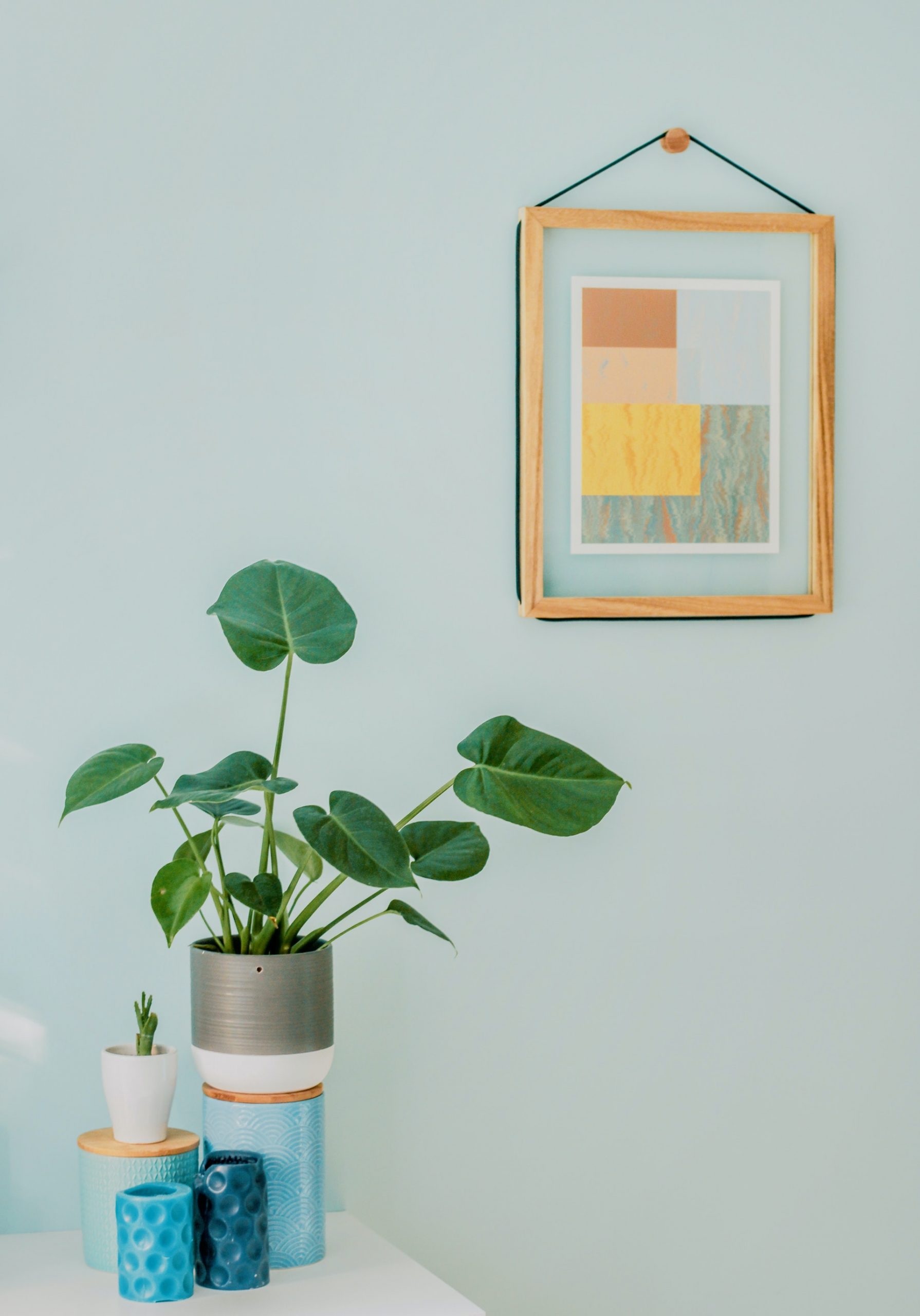 green plant in a gray pot inside an aesthetic blue room with art peice.