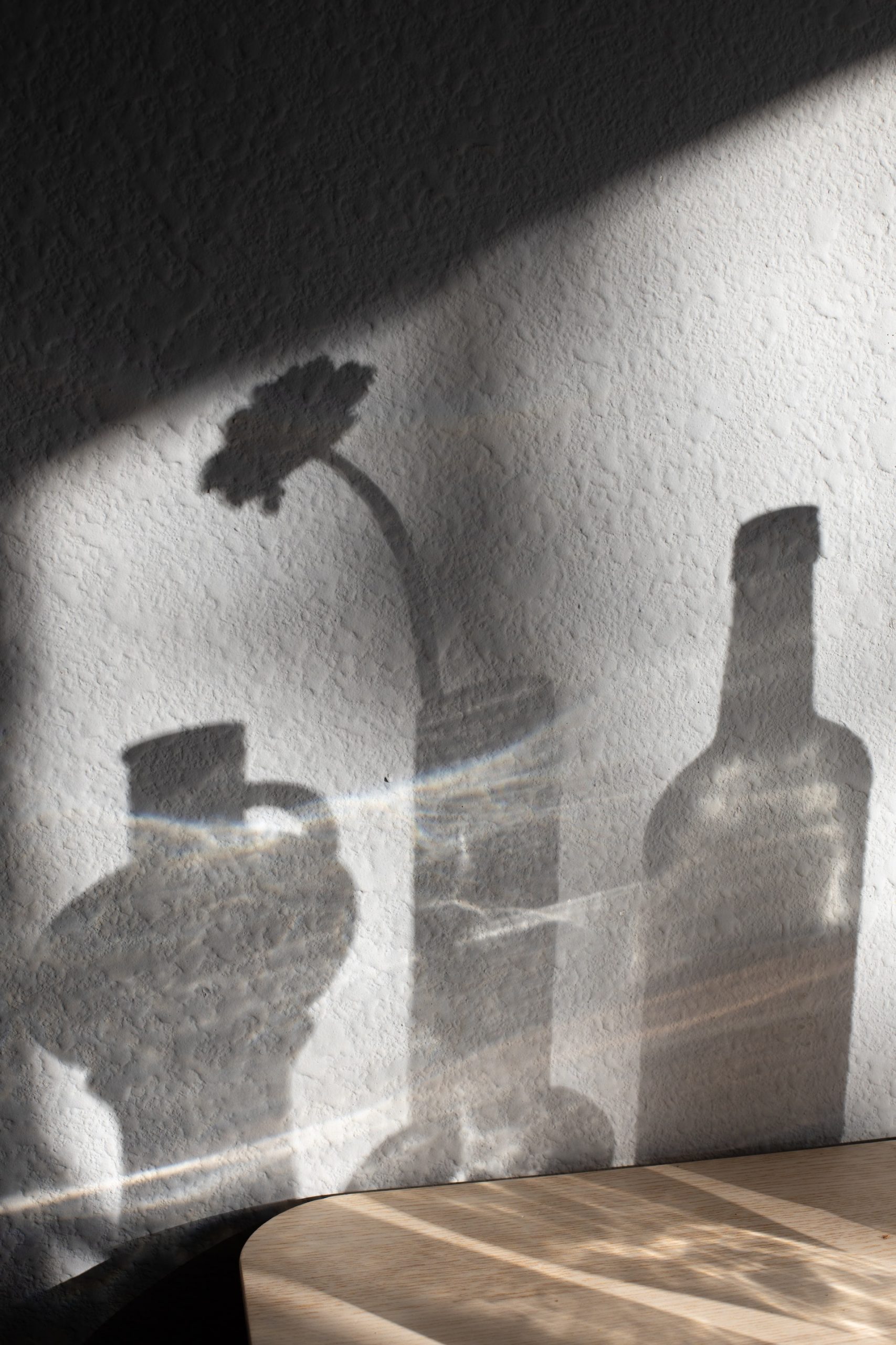 shadows of plants and bottles with water reflection