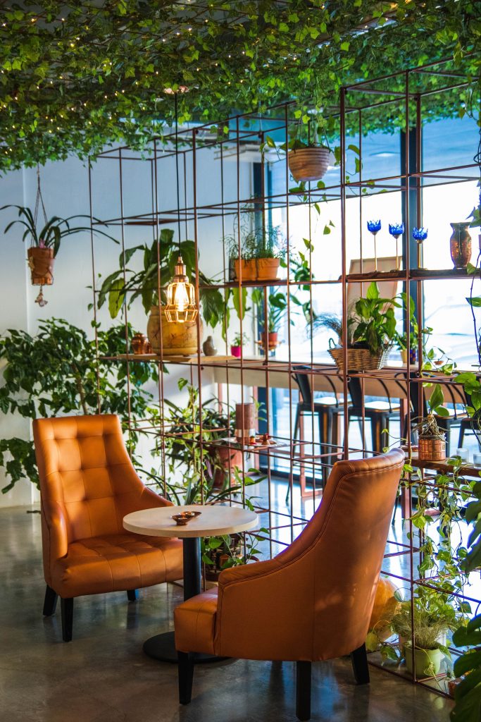 COVER - HOW TO CARE INDOOR PLANTS