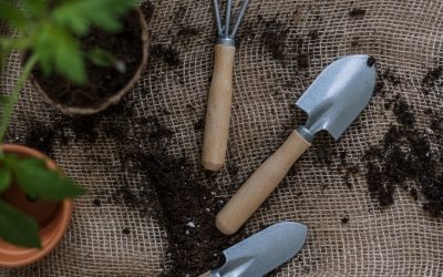 Must Have Tools for Plant Parents