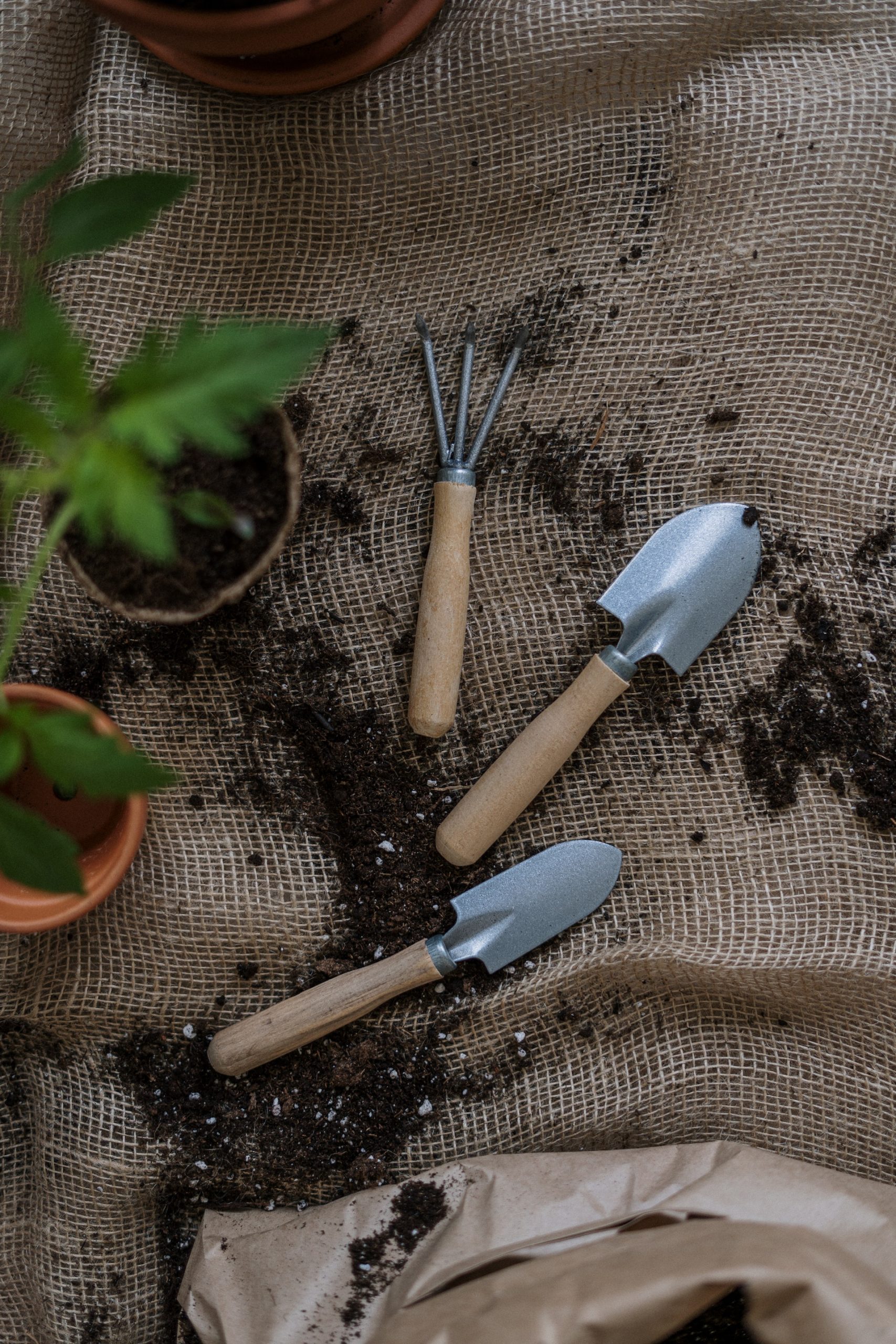 gardening tools with green plants with soil and pots