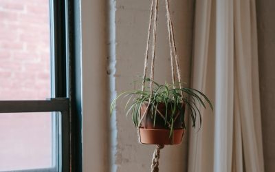 A Hanging Flower Pot is a Fabulous Garden Sculpture