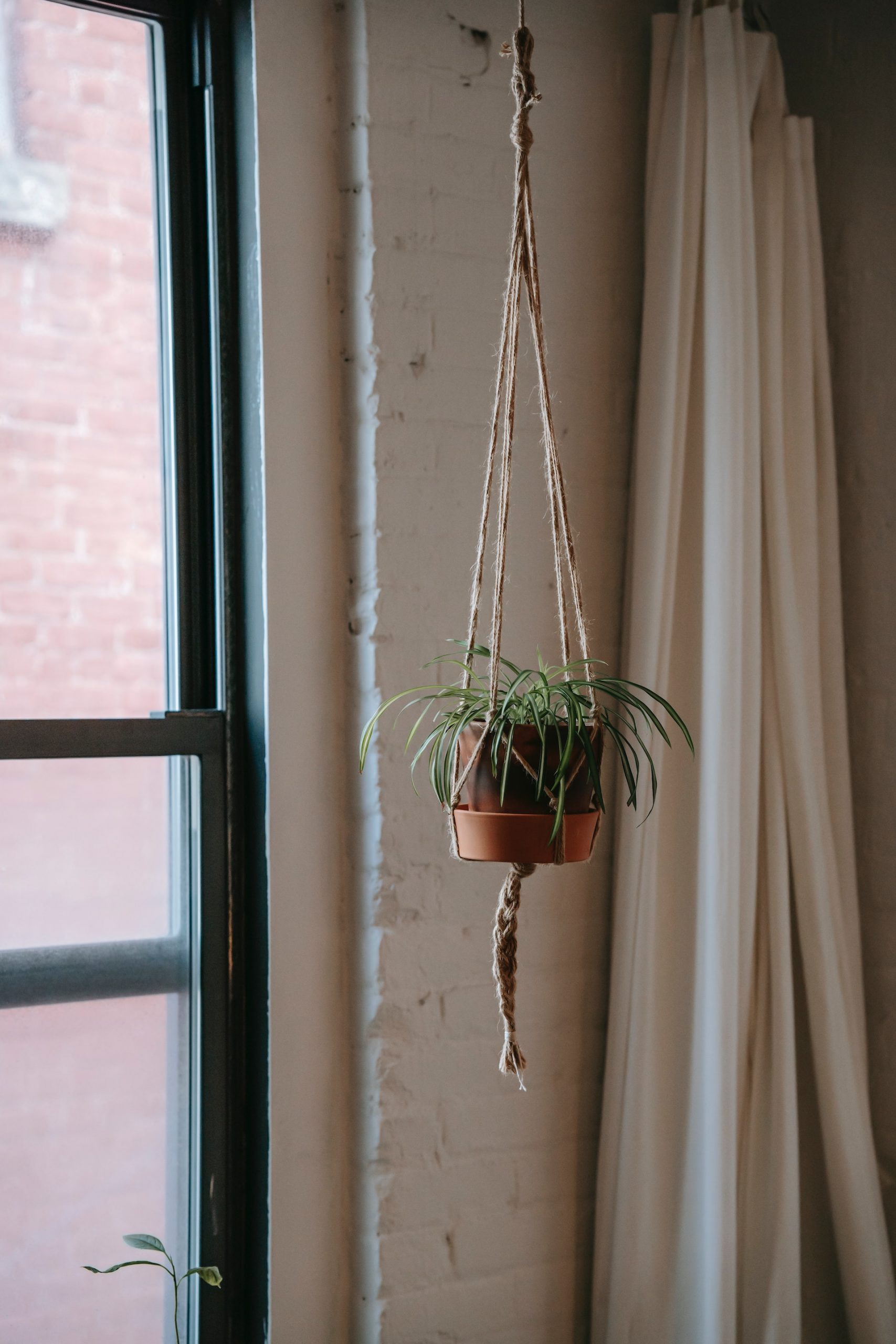 hanging flower pot in room