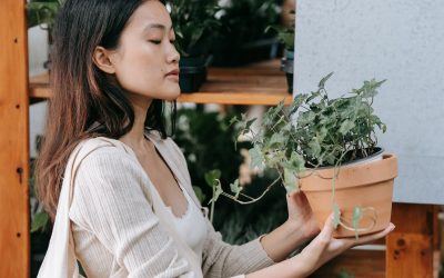 Must Know Reasons to Buy More Home Plants