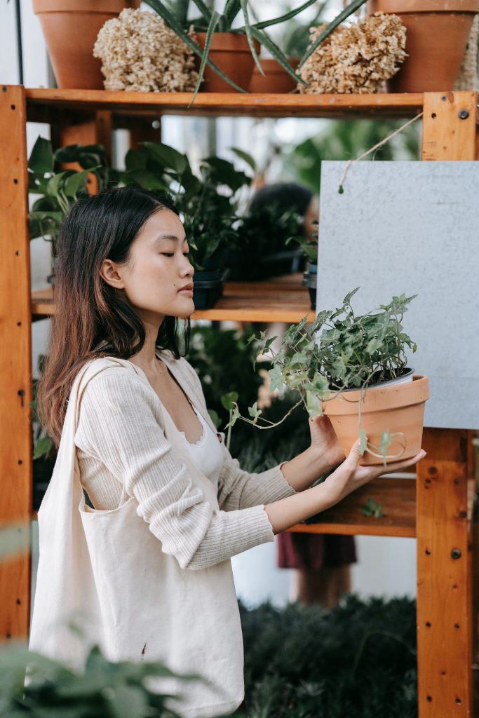 COVER - HOW TO CARE INDOOR PLANTS