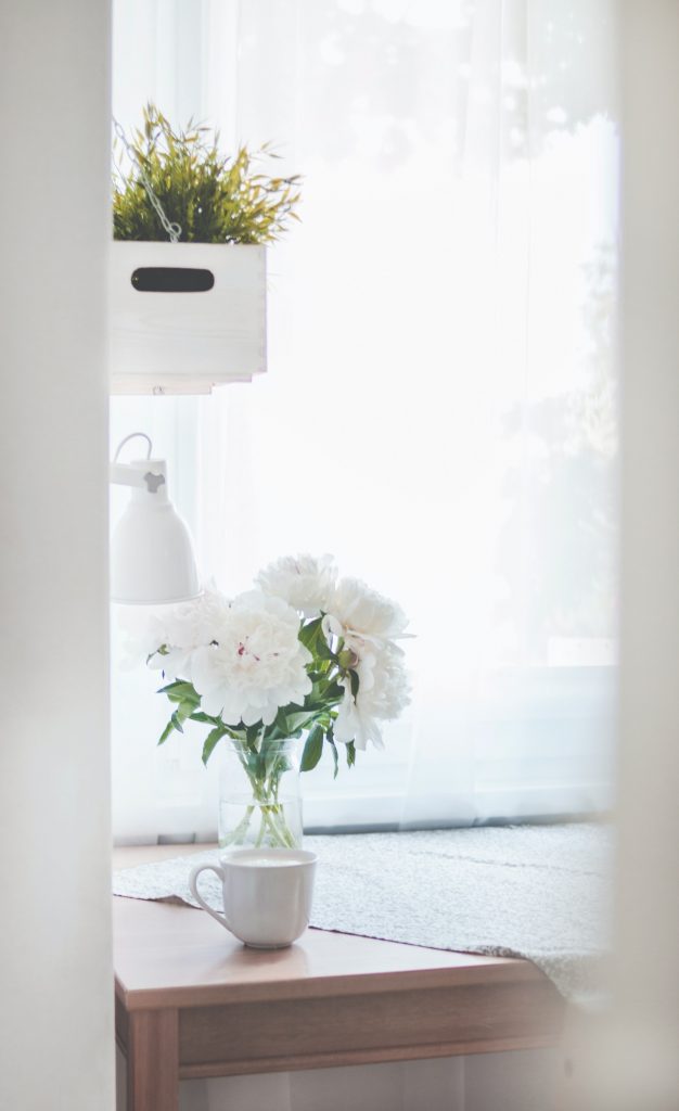 COVER - HOW TO CARE INDOOR PLANTS