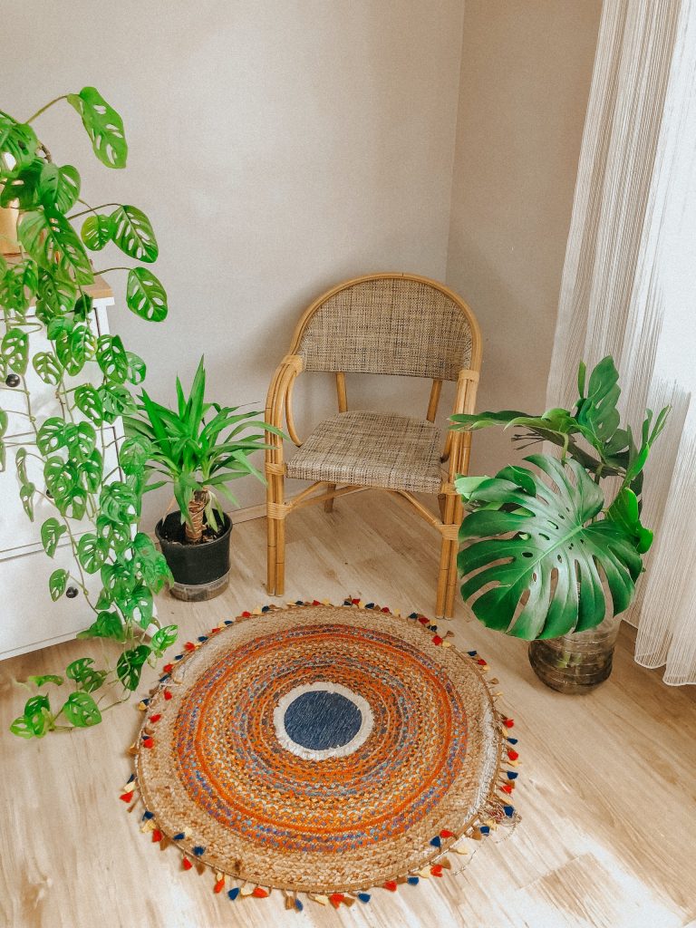 COVER - HOW TO CARE INDOOR PLANTS