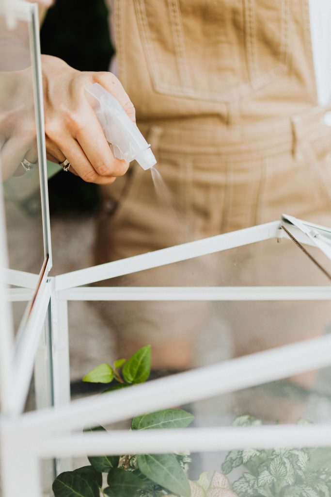 COVER - HOW TO CARE INDOOR PLANTS
