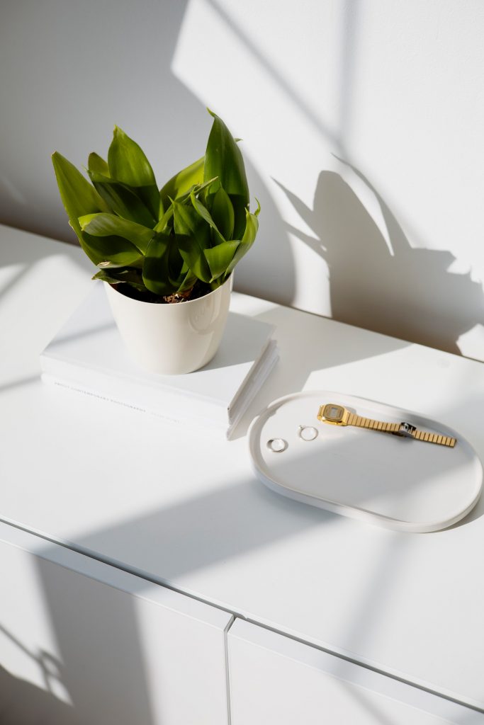 COVER - HOW TO CARE INDOOR PLANTS