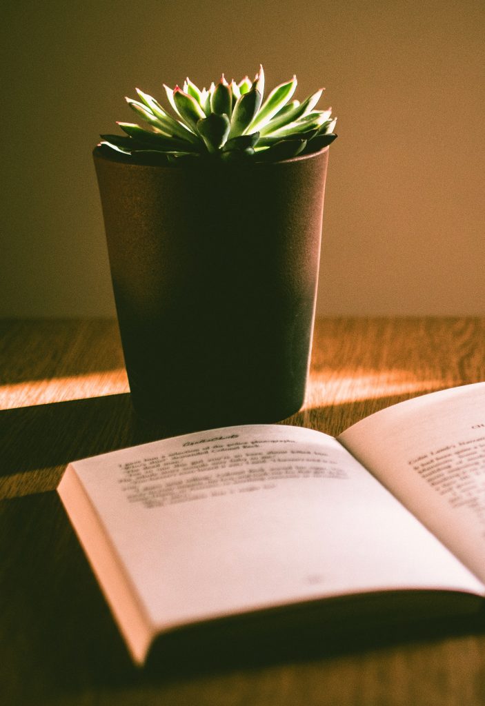 COVER - HOW TO CARE INDOOR PLANTS