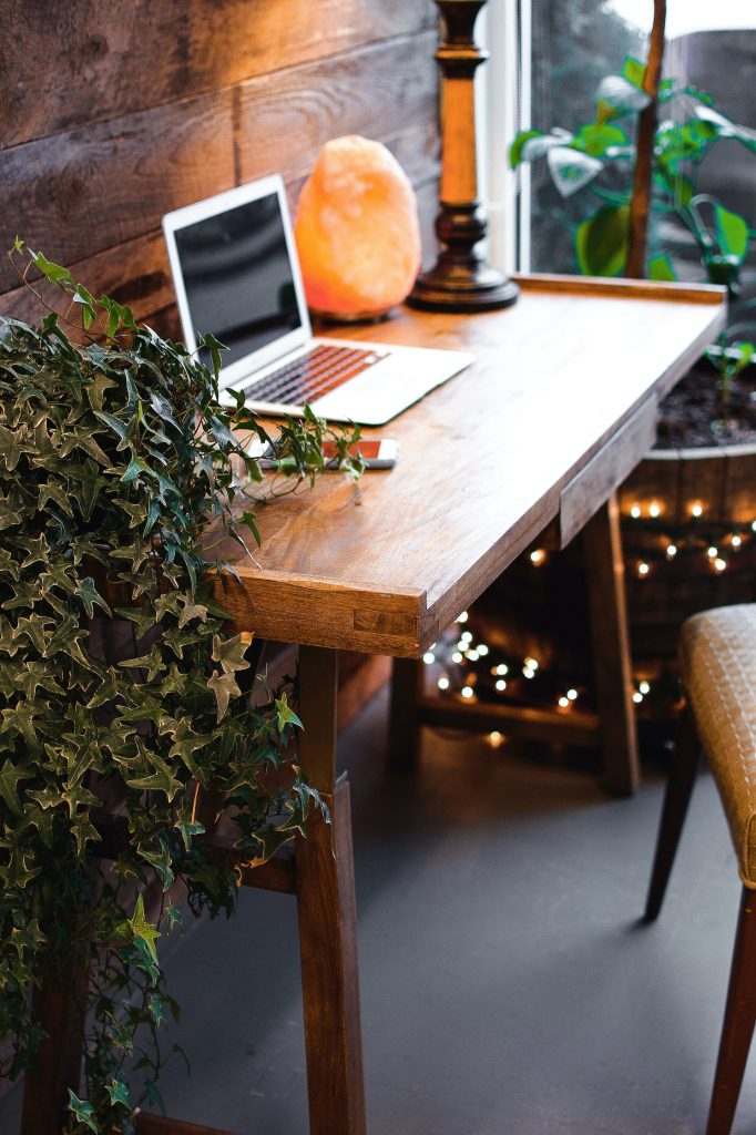 COVER - HOW TO CARE INDOOR PLANTS