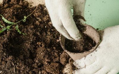 Simple Comprehensive Guide to Home Composting