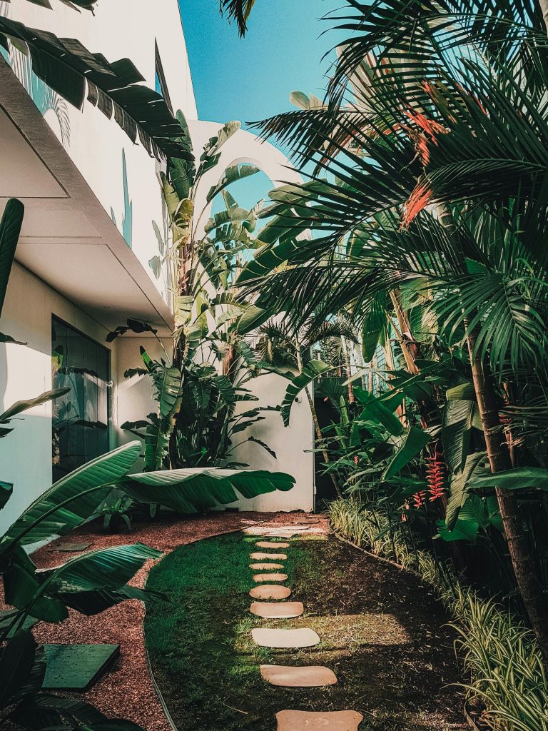 COVER - HOW TO CARE INDOOR PLANTS