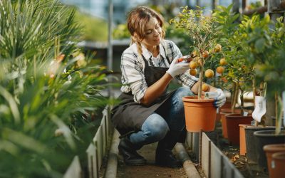 Mastering the Art of Pruning: A Comprehensive Guide to Keeping Your Plants Healthy and Thriving