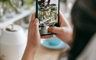 Plant Apps 101: Your Digital Guide to Flourishing Indoor Gardening