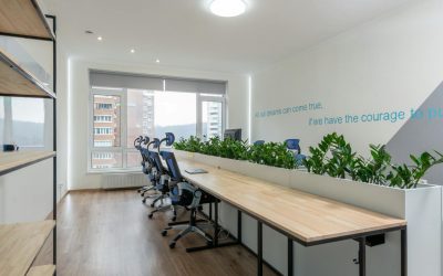 The Benefits of Plants in Commercial Buildings & How to Get Started