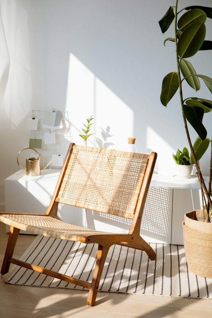 COVER - HOW TO CARE INDOOR PLANTS